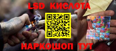 спиды Обь