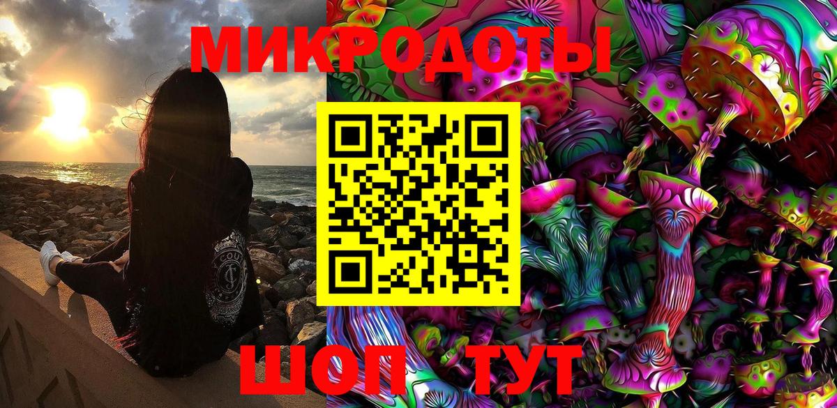 Галлюциногенные грибы Psilocybine cubensis Саратов
