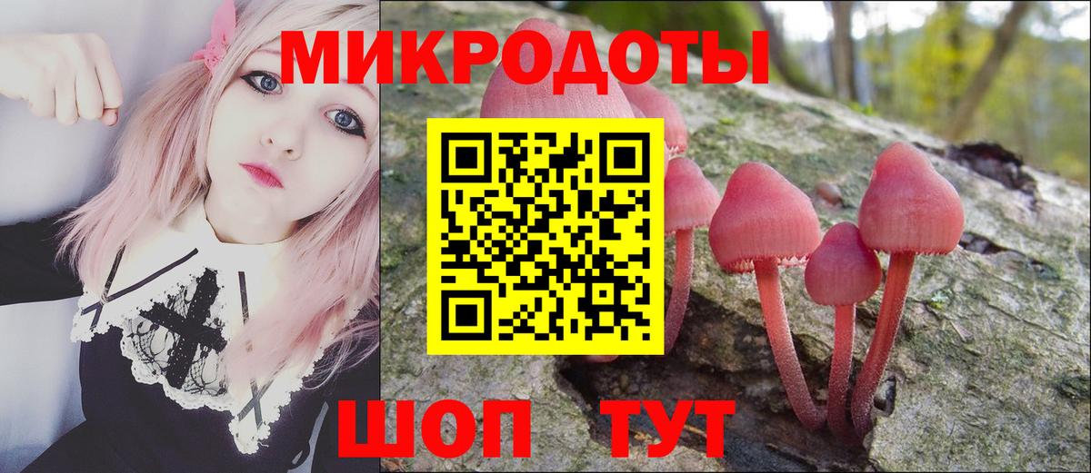 Саратов  купить наркоту  Вход с VPN  Галлюциногенные грибы Cubensis 
